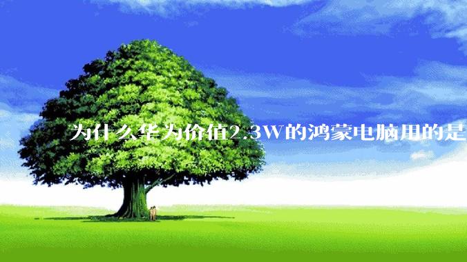 为什么华为价值2.3W的鸿蒙电脑用的是美国西数的SN740固态硬盘？