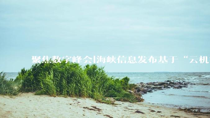 聚焦数字峰会|海峡信息发布基于“云机智营”的主动安全防御体系建设实践 - *