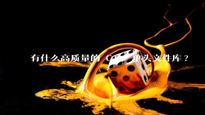 有什么高质量的 C++ 单头文件库?