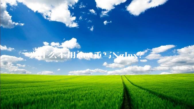 为什么不用rust重写Nginx？