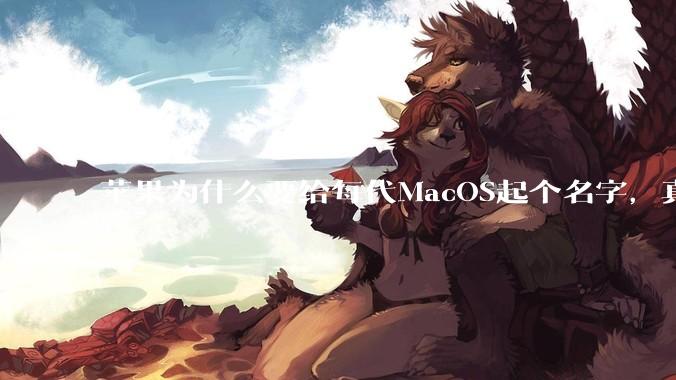 苹果为什么要给每代MacOS起个名字，真以为人们记得住分得清吗？